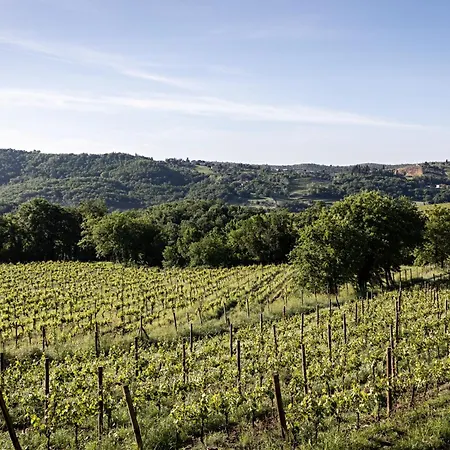 Pieve Aldina Relais & Chateaux מלון 5*
